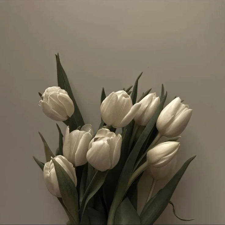 Home page