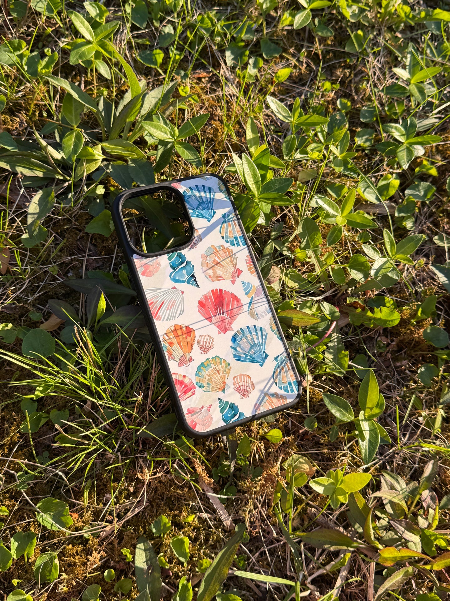 Coastal Seashell Phone Case Pinterest aesthetic